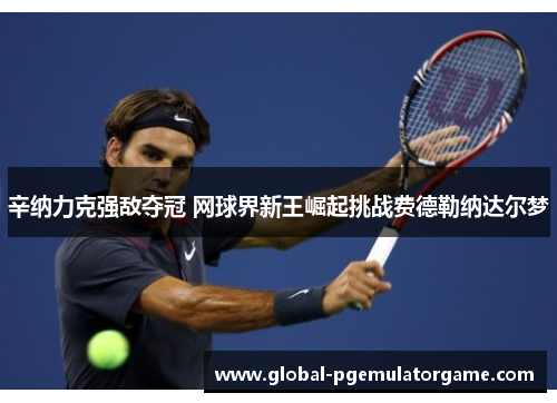 辛纳力克强敌夺冠 网球界新王崛起挑战费德勒纳达尔梦