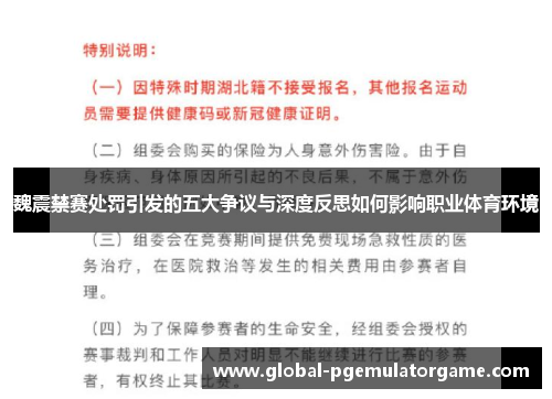 魏震禁赛处罚引发的五大争议与深度反思如何影响职业体育环境